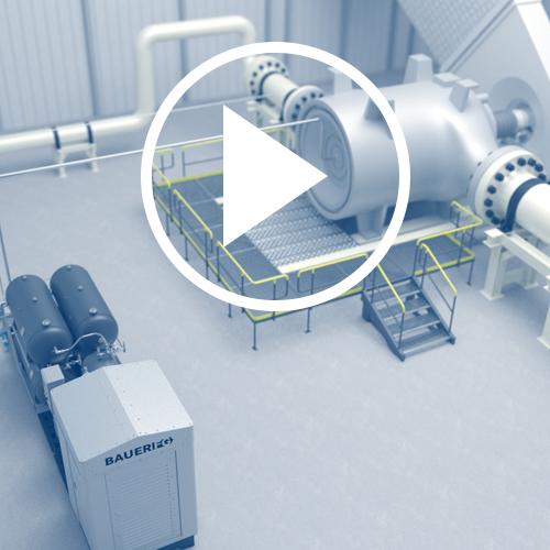 bauer-fg-video-link-to-youtube