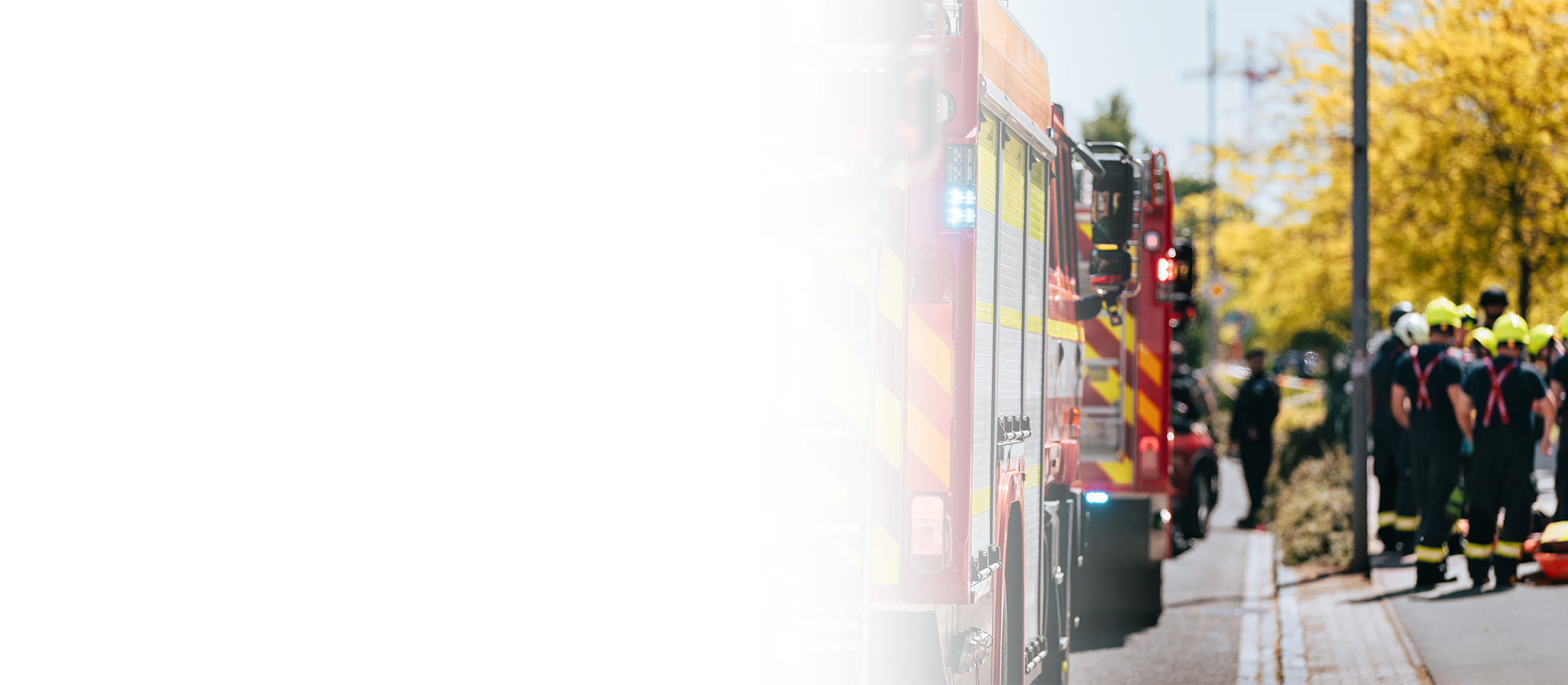 Dragon Fire Hero Image